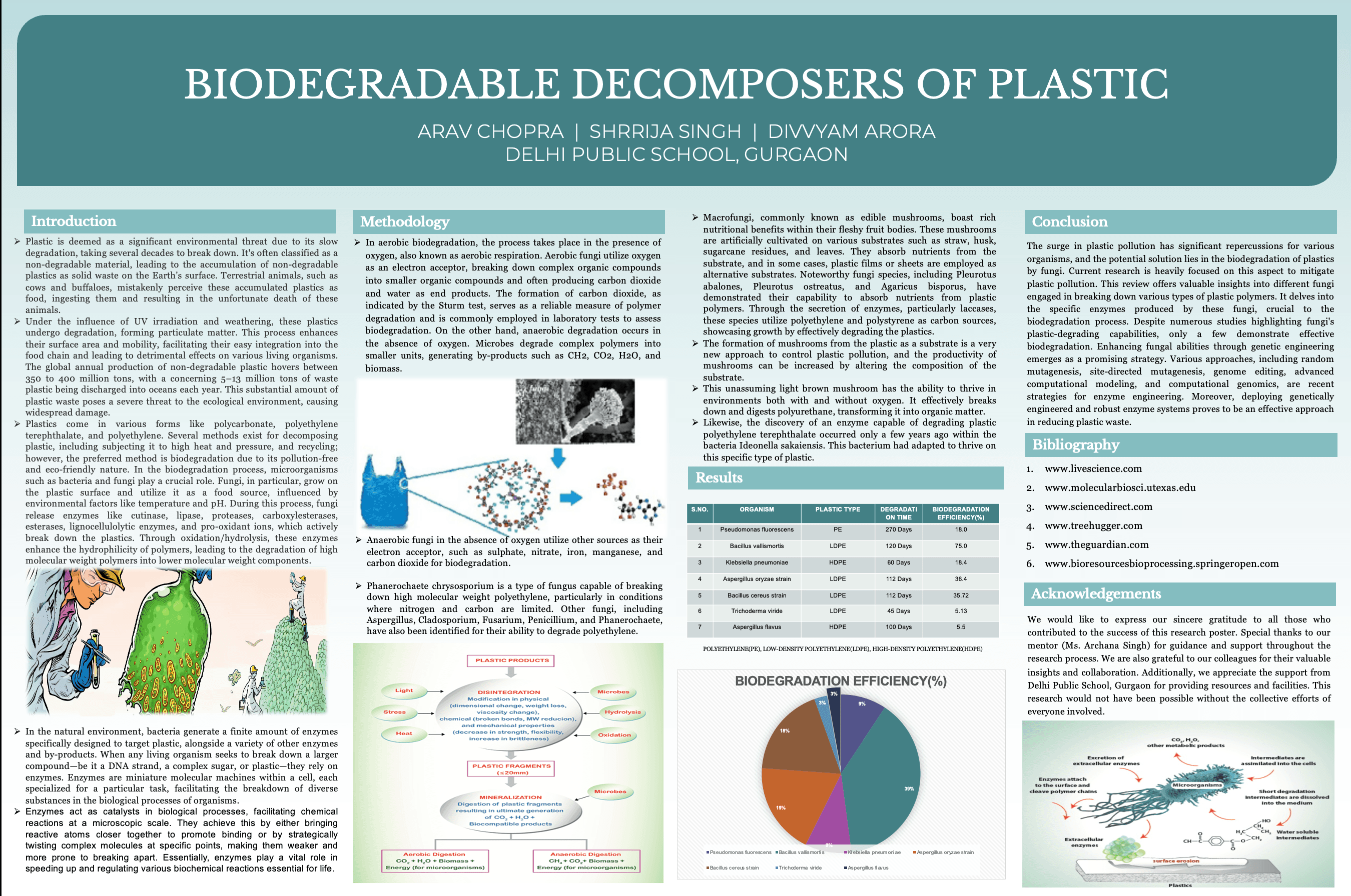 Biodegradable Decomposers of Plastic